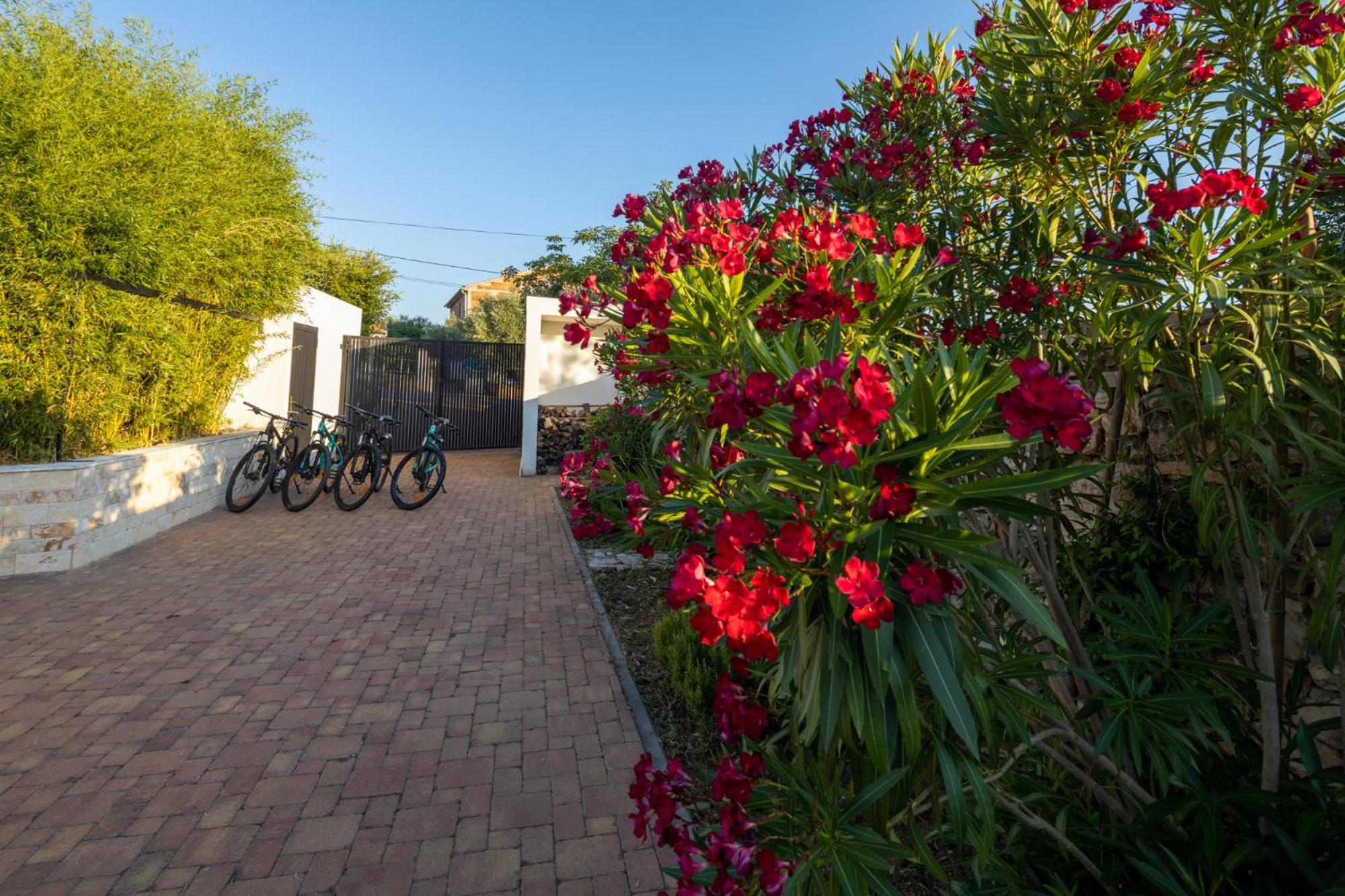 Vila Gallo Galovac  エクステリア 写真